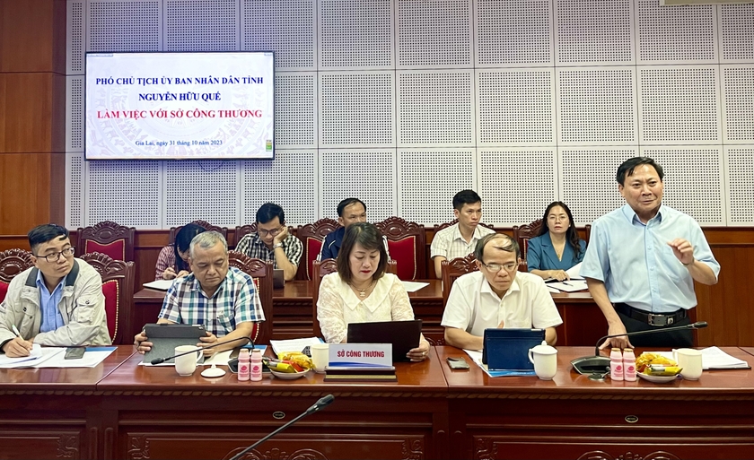 ong-pham-van-binh-giam-doc-so-cong-thuong-phat-bieu-tai-buoi-lam-viec-anh-vu-thao-1091.jpg