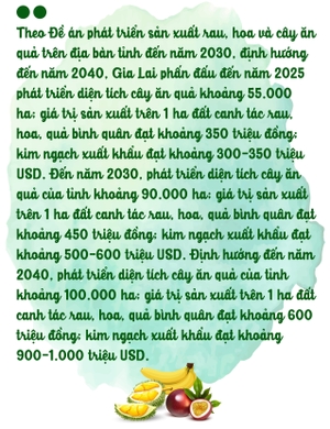 hinh-8-9800.jpg hinh-8-9800.jpg
