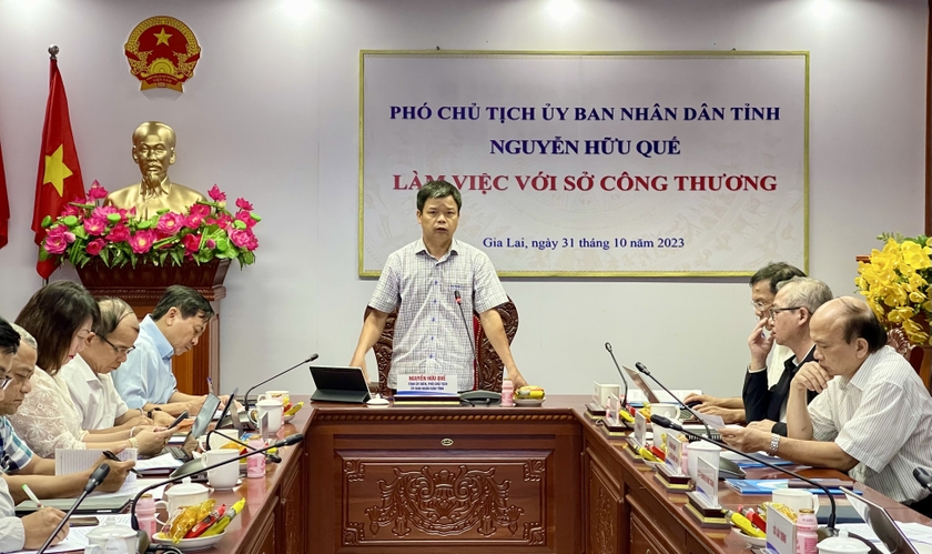 pho-chu-tich-ubnd-tinh-nguyen-huu-que-phat-bieu-chi-dao-tai-buoi-lam-viec-anh-vt-9887.jpg