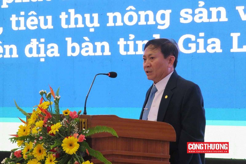 giai-phap-nao-phat-trien-dich-vu-logistics-tren-dia-ban-tinh-gia-lai_65373ce05d622.jpg