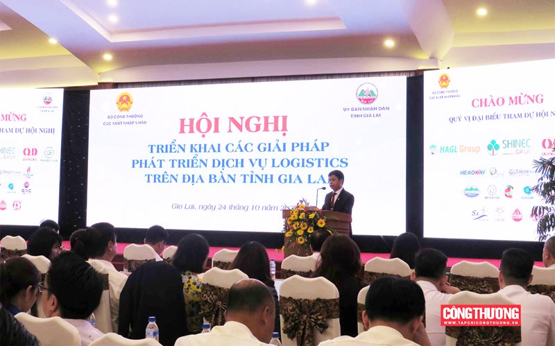giai-phap-nao-phat-trien-dich-vu-logistics-tren-dia-ban-tinh-gia-lai.jpg